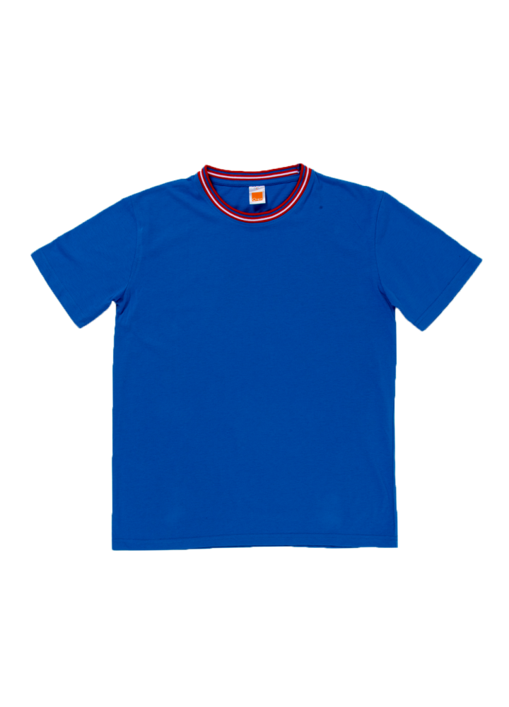 SJ0608